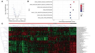 Integrated analysis of multi-omics data reveals T cell exhaustion in sepsis